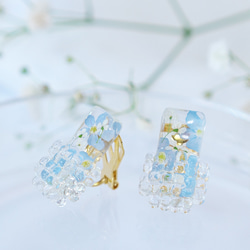 押し花のイヤリング　勿忘草　ハンドメイド 勿忘草 イヤリング・ノンホールピアス の人気通販｜Creema(クリーマ