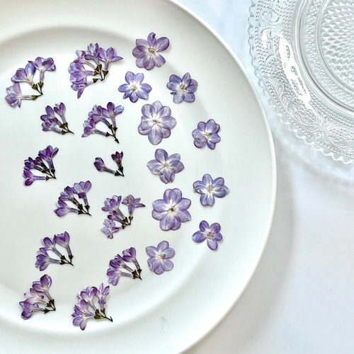 押し花】ライラック（八重咲き）50輪 素材 花材 レジン キャンドル