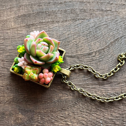 樹脂粘土 多肉 チャーム