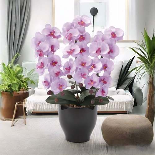 光触媒 人工観葉植物 ウォールグリーン フェイクグリーン 胡蝶蘭