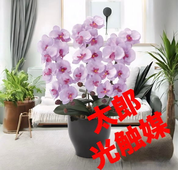 光触媒　人工観葉植物　ウォールグリーン　フェイクグリーン 胡蝶蘭セリースL 光触媒 人工観葉植物 ウォールグリーン フェイクグリーン 胡蝶蘭