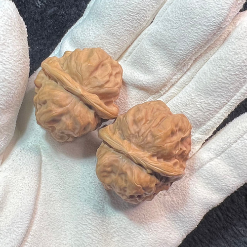 遊ぶ胡桃、「延慶ガマの頭」文玩核桃、クルミ核桃セット353731/29.2g