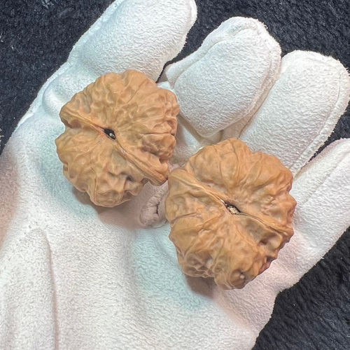 遊ぶ胡桃、「延慶ガマの頭」文玩核桃、クルミ核桃セット353731/29.2g