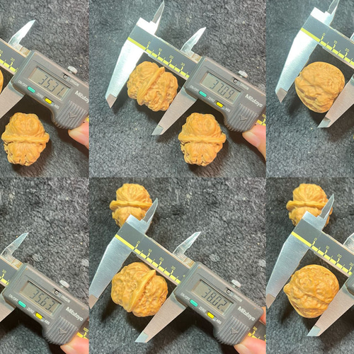 遊ぶ胡桃、「延慶ガマの頭」文玩核桃、クルミ核桃セット353731/29.2g