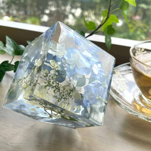本物の紫陽花/片口立方体キューブ/植物標本/固まるハーバリウム 本物の紫陽花/片口立方体キューブ/植物標本/固まるハーバリウム