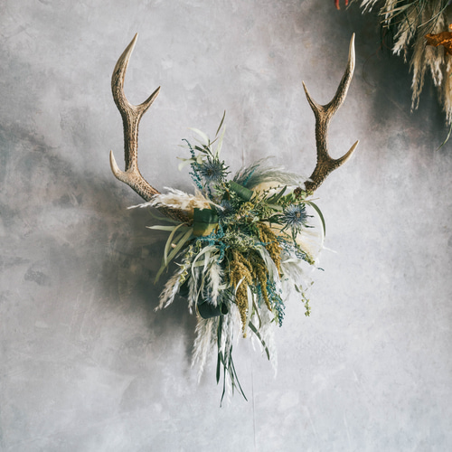 1個限定！！鹿の角とドライフラワーとパンパスの壁掛け＊カッコイイ