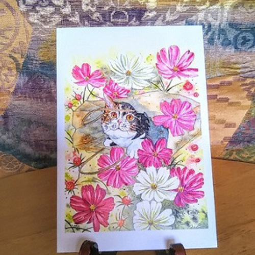 風に舞うコスモスの花と三毛猫さん。 ポストカード 葵 通販