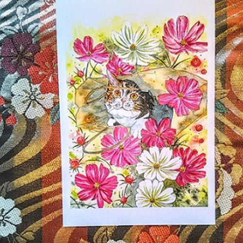 風に舞うコスモスの花と三毛猫さん。 ポストカード 葵 通販 18092001