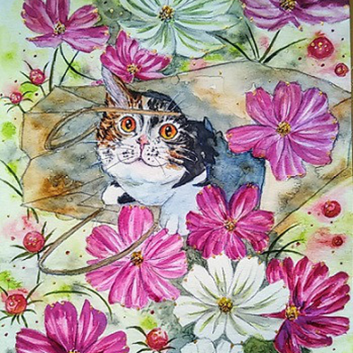 風に舞うコスモスの花と三毛猫さん。 ポストカード 葵 通販 18092001