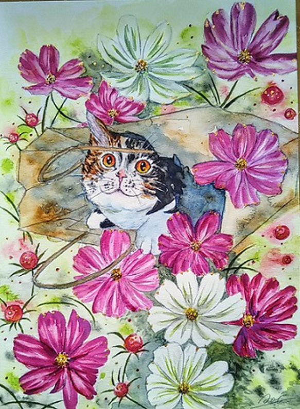 ピンク色のコスモスとねこ