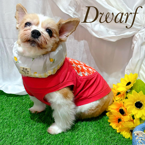 れもん♡︎れもん様専用 ハンドメイド 犬服 【公式通販】