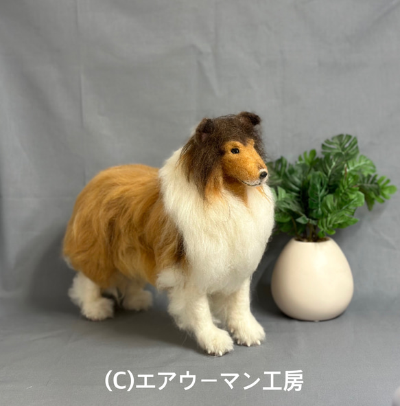 犬の日2024 羊毛フェルトの犬の人形（セーブルのラフコリー）ケース