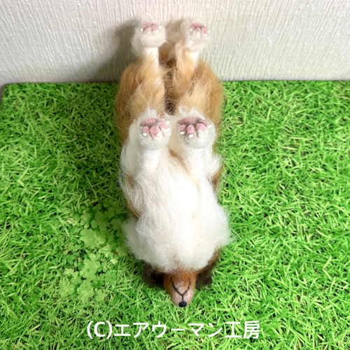 犬の日2024 羊毛フェルトの犬の人形（セーブルのラフコリー）ケース