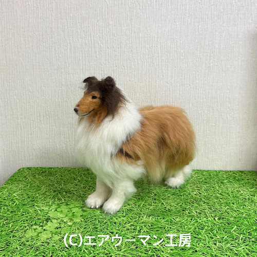コリー犬 羊毛フェルト フィギュア 約15cm 犬の日2024 羊毛フェルトの犬の人形（セーブルのラフコリー）ケース