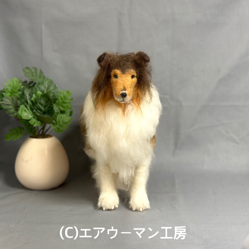 犬の日2024 羊毛フェルトの犬の人形（セーブルのラフコリー）ケース