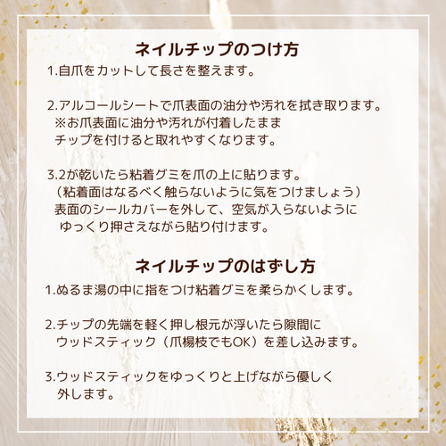 サイズ計測用クリアネイルチップ ネイルチップ（つけ爪） Naily nico