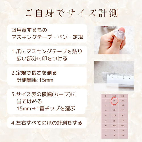 サイズ計測用クリアネイルチップ ネイルチップ（つけ爪） Naily nico