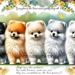 New 犬 犬柄の可愛すぎるデザイン 輸入生地 生地 ハンドメイド 素材