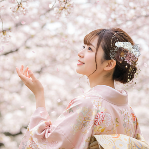 白×金 紫陽花と水引の髪飾り No.GW02 成人式 卒業式 結婚式 成人 白×金 紫陽花と水引の髪飾り No.GW02 成人式 卒業式 結婚式 成人