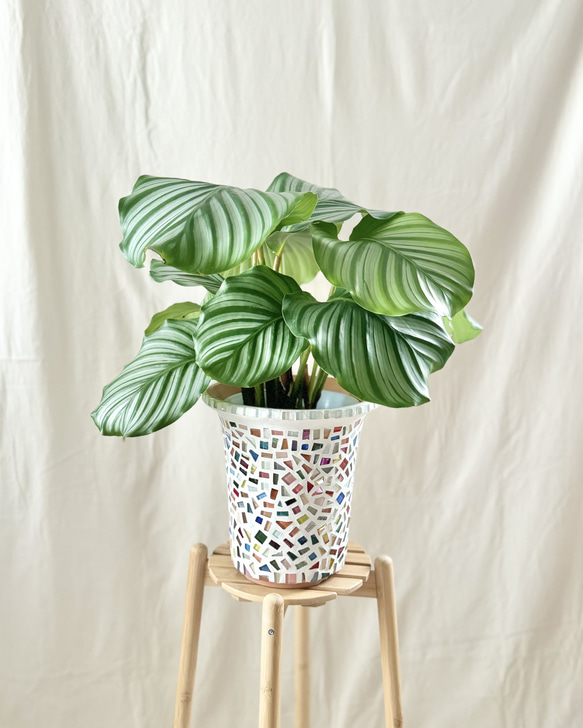 パステルカラーのオシドリの絵植木鉢の中古品アンティークコレクション装飾植物の置物 Amazon.co.jp: 枝にあるステンドグラスの鳥 2個、クリエイティブ