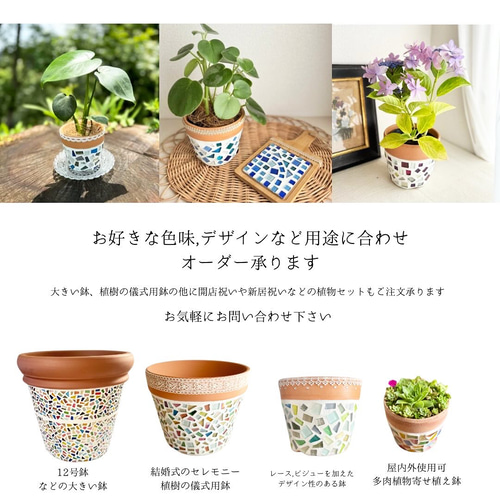 オーダー品】【一点物】カラテアオルビフォリア ジュエリー