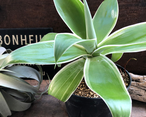 5956c3a0cc0456587fe71dd4fe241d