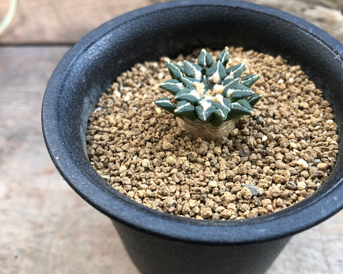 a79330f77b9429cbbfb4c5df02f13a