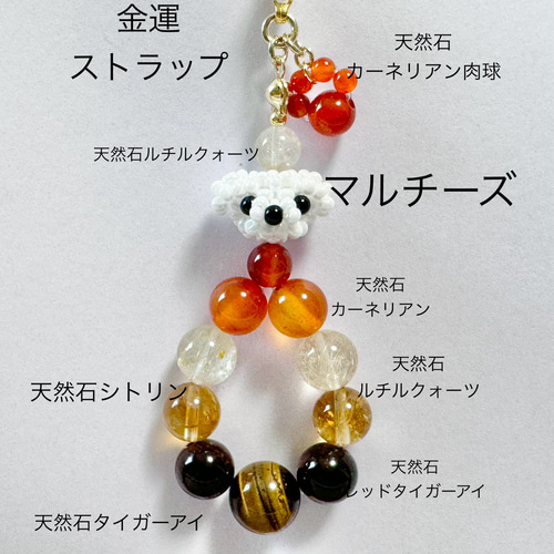 マルチーズちゃんキンウンストラップ バッグチャーム 〜びぎなぁ