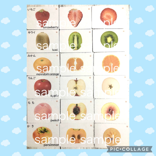 【完成品】野菜・果物カード　小学校受験教材　理科的常識　幼児教育　知育　断面図 完成品】野菜・果物カード 小学校受験教材 理科的常識 幼児教育