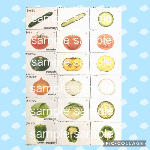 果物野菜 断面カード 家庭学習 小学校受験教材 理科的常識 断面