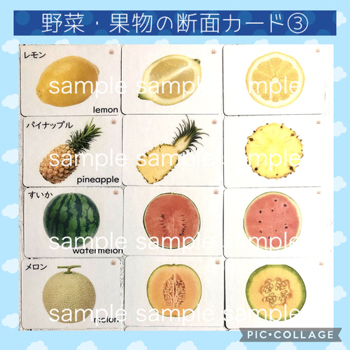 果物野菜 断面カード 家庭学習 小学校受験教材 理科的常識 断面