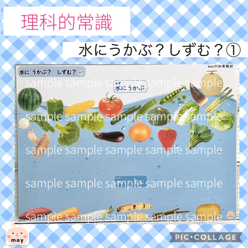 理科的常識 どこに育つ？小学校受験 (お届けは2枚目の内容のみ