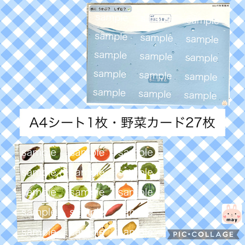 【完成品】野菜・果物カード　小学校受験教材　理科的常識　幼児教育　知育　断面図 野菜・果物カード 小学校受験教材 理科的常識 幼児教育 知育