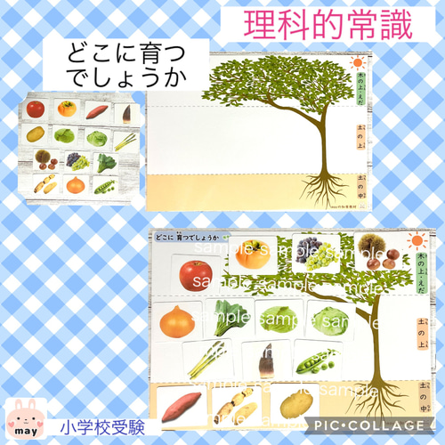理科的常識実践編5点おまとめモノクロバージョン