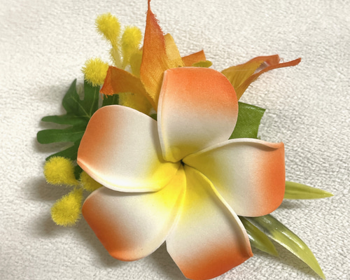 a4446ae5d7b897a1bbb7a9d6d3ada7