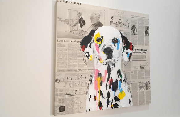 Dalmatian / ダルメシアン 