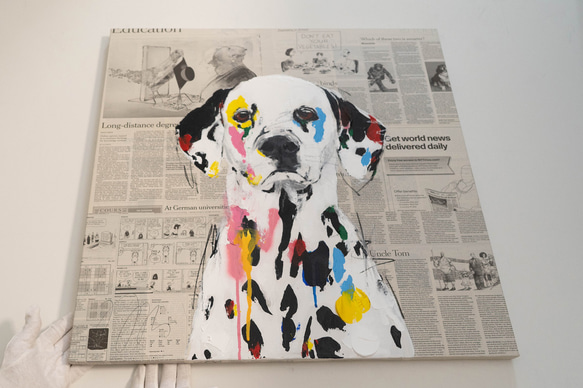 Dalmatian / ダルメシアン 