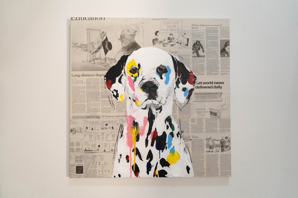 Dalmatian / ダルメシアン 