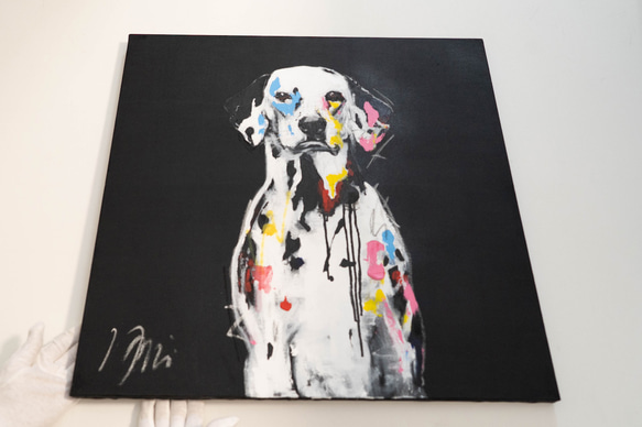 Dalmatian / ダルメシアン 