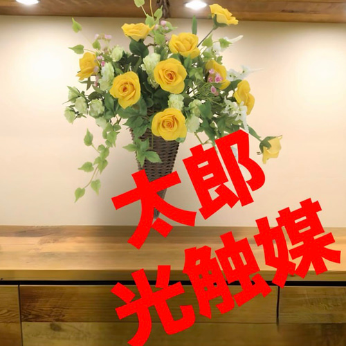 光触媒 人工観葉植物 ウォールグリーン フェイクグリーン ニュー 