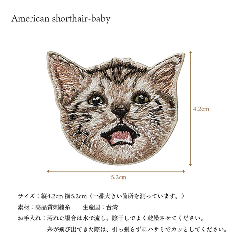 ステッカー ワッペン 刺繍 アメリカンショートヘアー 子猫 アメショ