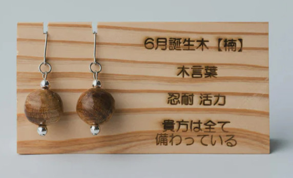 自然の贈り物【6月】12ヶ月12種の守り木(誕生木)から生まれたピアス/イヤリング