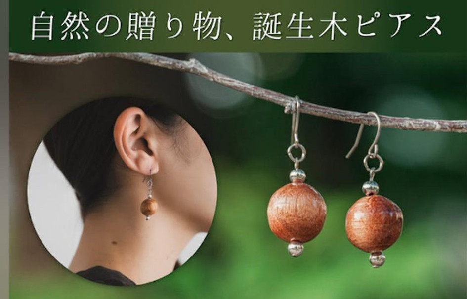 自然の贈り物【10月】12ヶ月12種の守り木(誕生木)から生まれたピアス/イヤリング