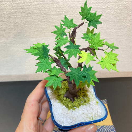 樹脂粘土製ミニチュア盆栽〈青紅葉〉 盆栽 AB-Hachi Garden 通販