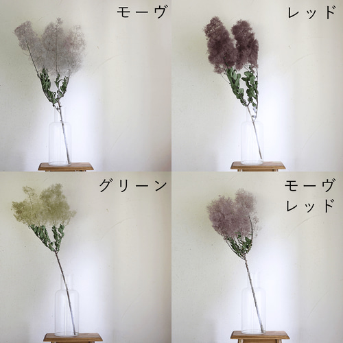 大枝 丈60〜80cm 】 スモークツリー ロング (1〜2本) モーヴ