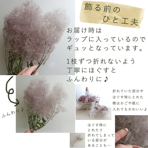 【特価】スモークツリー 枝 シャビー＆ボリューム 縦75cm ＊ ドライフラワー BIGボタニカル］スモークツリー 60-100㎝ 商品ページ - 土と風の