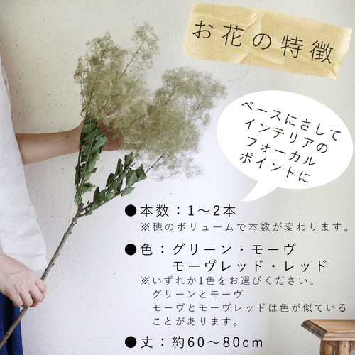 【特価】スモークツリー 枝 シャビー＆ボリューム 縦75cm ＊ ドライフラワー スモークツリー 大サイズ 1本 ドライフラワー | 新鮮お花問屋 Jp