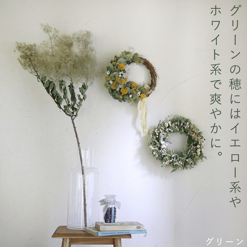 大枝 丈60〜80cm 】 スモークツリー ロング (1〜2本) モーヴ