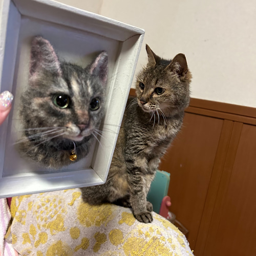 羊毛フェルト猫》 #猫(ねこ)羊毛フェルト オーダー フレーム