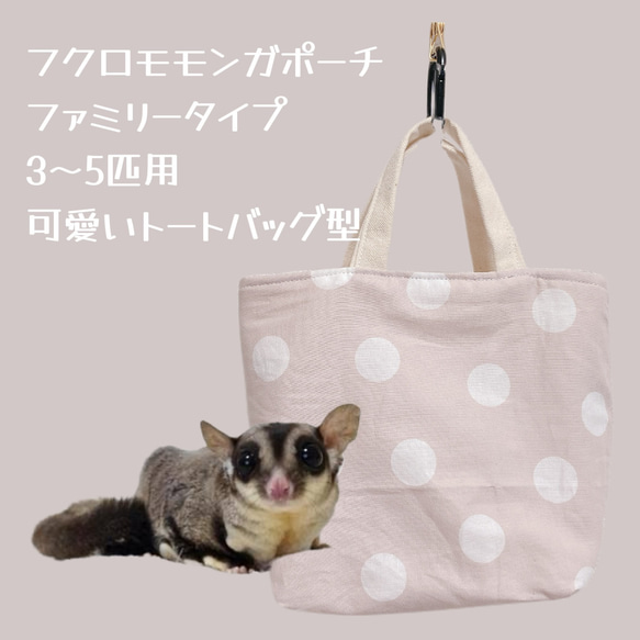 モモンガポーチB